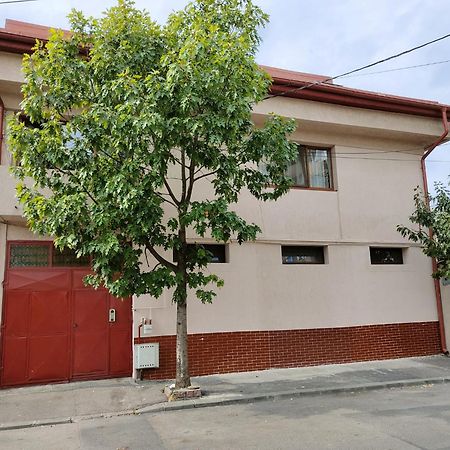 Z Villa Bukarest Kültér fotó